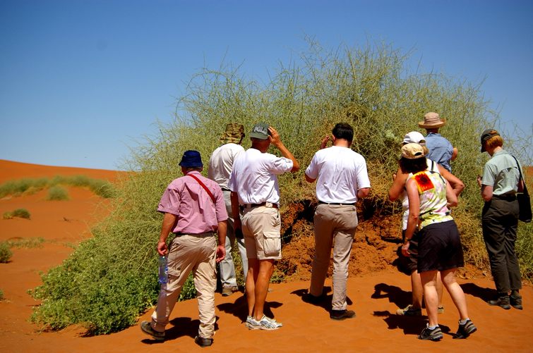 390 Namibia Okt 2006 .JPG